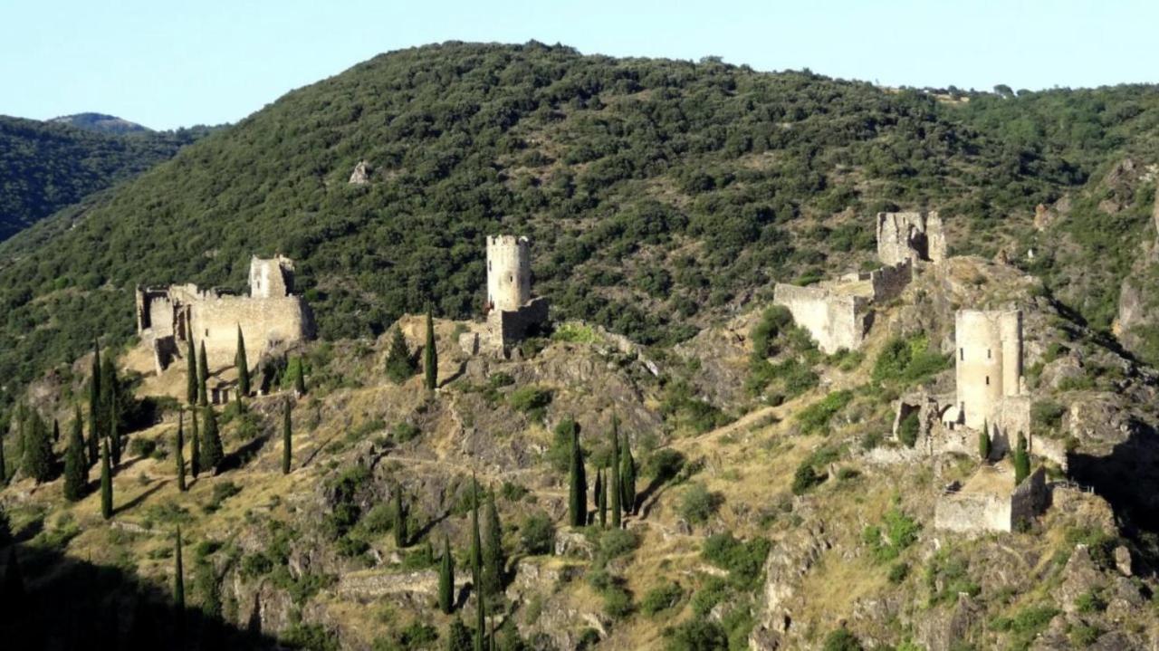 La Maison De Leontine La Liviniere Dış mekan fotoğraf