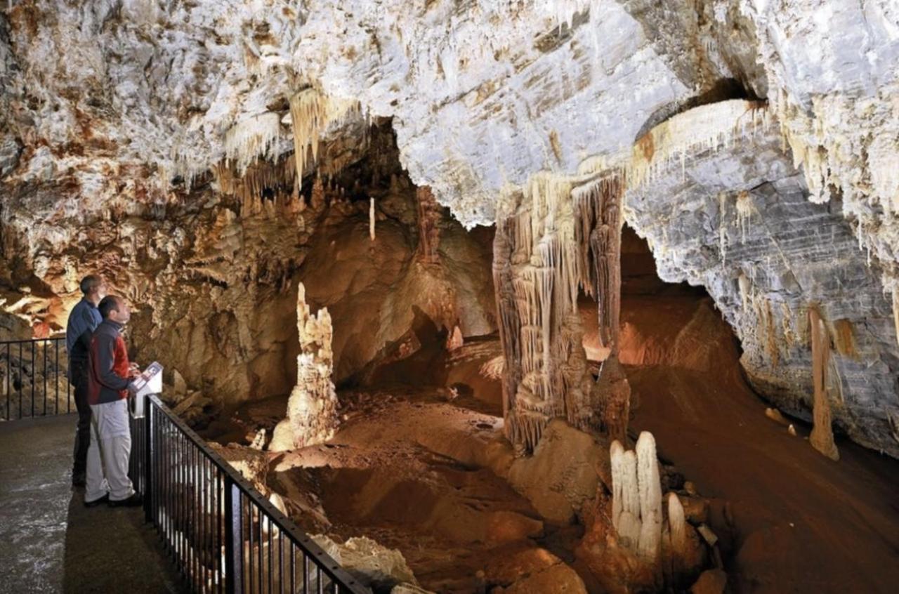 La Maison De Leontine La Liviniere Dış mekan fotoğraf